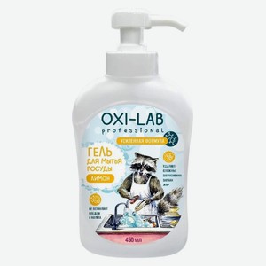 Гель Oxi-lab Professional для мытья посуды 450мл, 1 шт