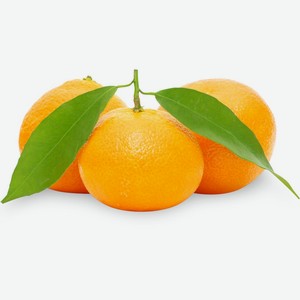 Мандарины Прочие Товары с листочками вес.,