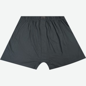 Трусы мужские INWIN шорты, серые, Арт. R25101-07