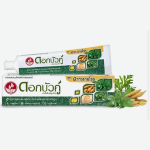 Зубная паста Twin Lotus Андрографис метельчатый 40 г