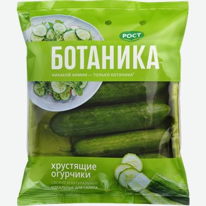 Огурцы ПРЕМИУМ БОТАНИКА гладкие, 420г