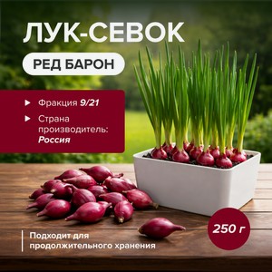 Лук-севок  Ред Барон , 250 г