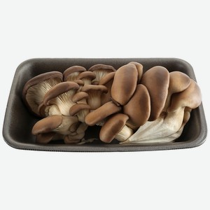 Грибы Вешенка 300г