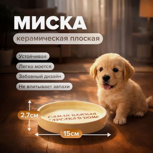 Миска керамическая плоская, Pet Club, 15х2,7 см, в ассортименте