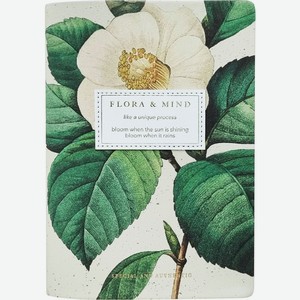 Ежедневник, датированный 2025, Infolio, 140х200 мм, 352 стр.