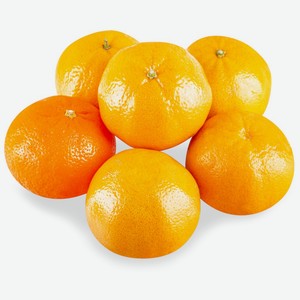 Мандарины Прочие Товары Муркотт вес