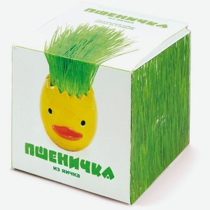 Набор Домашняя кухня Пшеничка из яичка пасхальная