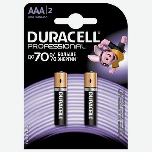 Батарейки Duracell Professional AAA 2 шт.