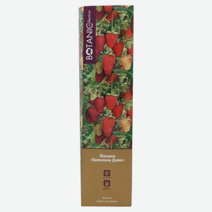 Малина садовая «Цветочный альянс» Брянское Диво