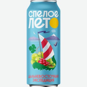 Напиток безалкогольный Спелое лето Дальневосточная экспедиция 450мл
