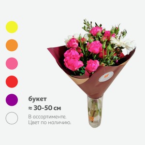 Букет живых срезанных цветов №1 Микс с кустовой розой герберой и зелени фисташки в упаковке в ассортименте, 1 шт