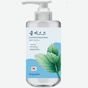 Гель для душа Present Skin Cool Musk 500мл, 500 мл
