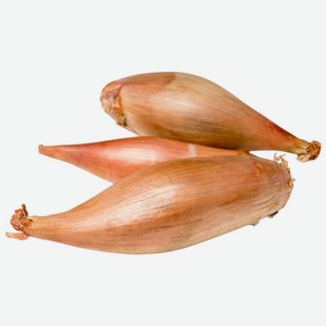 Лук Шалот, Цена за 1 кг