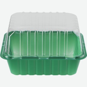 Мини-парник для выращивания рассады GIARDINO CLUB 21х16х6,5см с крышкой, на 1 кассету, Арт. 64673