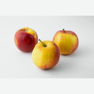 Яблоко Айдаред