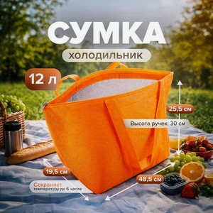 Сумка-холодильник, BBQ, 48,5х25,5х19,5 см, в ассортименте
