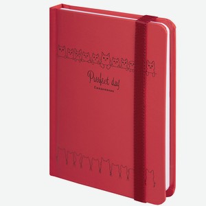 BRAUBERG Ежедневник недатированный с резинкой А6 Котики, Комбинированный