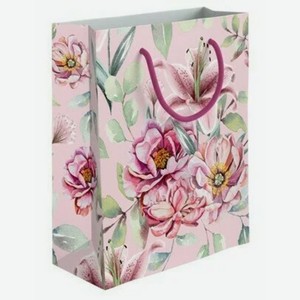 Пакет бумажный подарочный, Bc