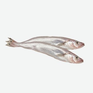 Путассу зам. вес