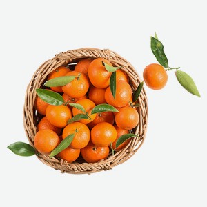Мандарины мини кг
