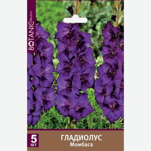 Луковицы BOTANIC COLLECTION Гладиолус крупноцветковый Момбаса, 5шт