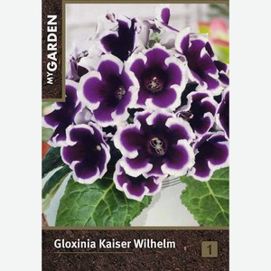 Луковицы MY GARDEN Глоксиния Кайзер Вильгельм