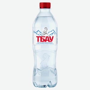 Тбау 0,5л./12шт. Негаз Минеральная природная питьевая столовая вода