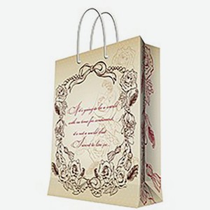 Пакет подарочный Феникс-Презент бумажный 17*22*9см