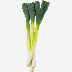 Лук порей, Цена за 1 кг