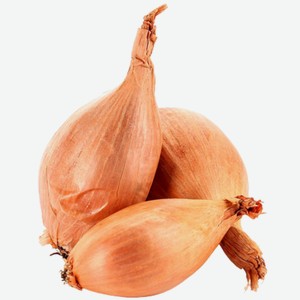 Лук салатный