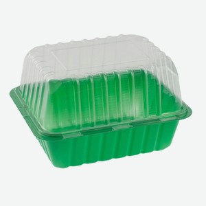 Мини-парник с крышкой для 1 кассеты полистирол, 210х160х65 мм