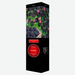 Саженцы «Поиск» Ежевика ремонтантная Рубен Люкс