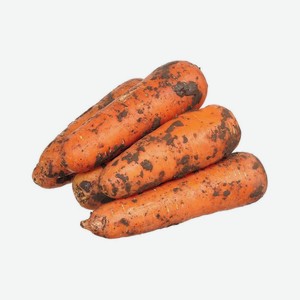 Морковь вес.