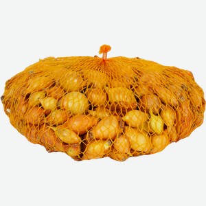 Лук-севок ДАЧИУДАЧИ Стурон, фракция 14/21, 500г