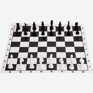 Шахматы РЫЖИЙ КОТ коробка с полями 28,5х28,5 см ИН-1614, Россия