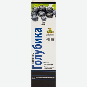 Саженцы ПОИСК плодовый жимолость/голубика, Россия