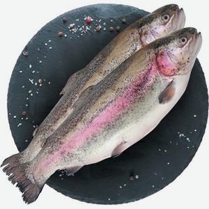 Форель С/м Радужная Н/р Турция Кг