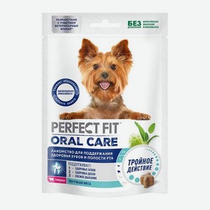 Лакомство для собак Oral care для здоровья зубов с говядиной и мятой Perfect Fit 90г