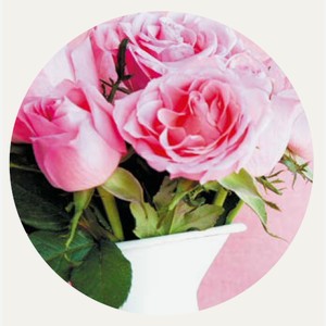 Роза Кустовая Букет 5шт