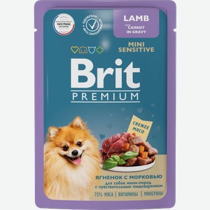 Влажный корм для собак с чувствительным пищеварением ягненок с морковью Brit 85г