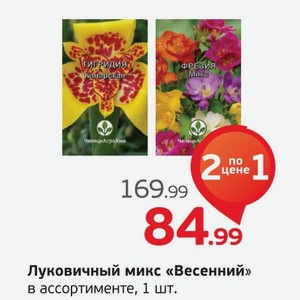 Луковичный микс  Весенний  в ассортименте, 1 шт.