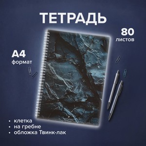Тетрадь на пружине, А4, 80 л, в ассортименте