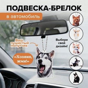 Подвеска-брелок в автомобиль, Top Race, в ассортименте