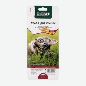 Лакомство для кошек трава Titbit 40г