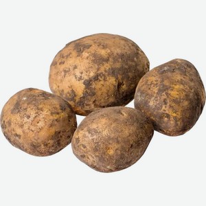 Картофель отборный, Цена за 1 кг