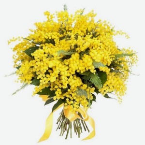 Букет мимозы