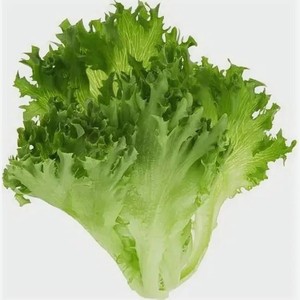 Салат свежий Фрилис 100гр