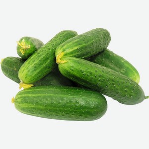 Огурцы короткоплодные, Цена за 1 кг