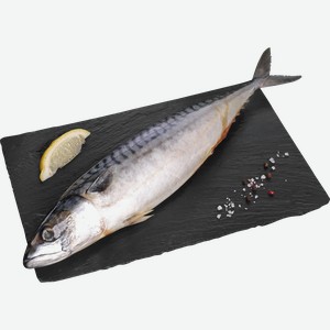 Скумбрия Тихоокеанская ЛЕНТА FRESH непотрошеная с головой 200г+ (из замороженного сырья), весовая