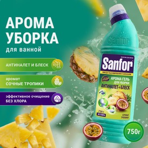 Чистящее средство Sanfor Сочные тропики 750 г для сантехники 1 упак.